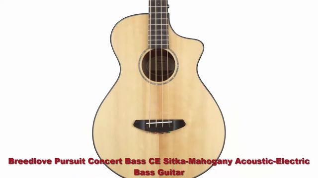 Top 5 High Quality Best Acoustic & Acoustic-Electric Bass Guitars : Acoustic-Electric Bass Guitars смотреть онлайн