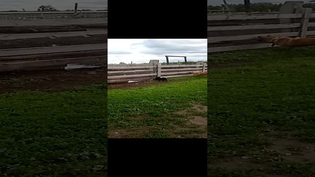 Смотреть можно.... Кушать.... Нет