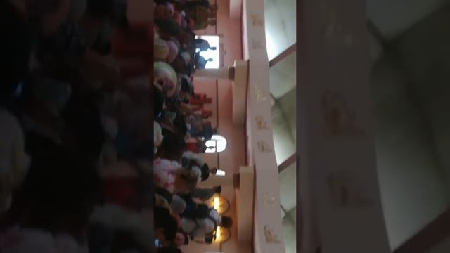 Шымкент Арыс каласынын тургыдары завастовка смотреть онлайн