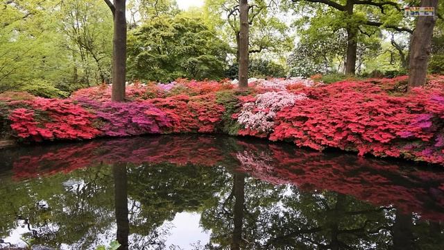 The Most Beautiful Gardens in Europe смотреть онлайн