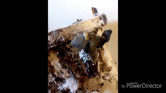 В гостях у сказки!) смотреть онлайн
