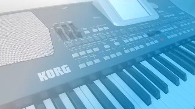 KORG PA 500 - Vyjdu na poľanu смотреть онлайн