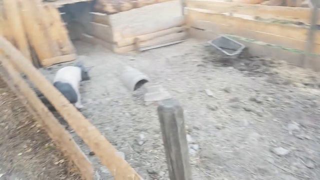 Норвегия.Парфюмы. Осло. Кэмпинг Утвика( Utvika). смотреть онлайн