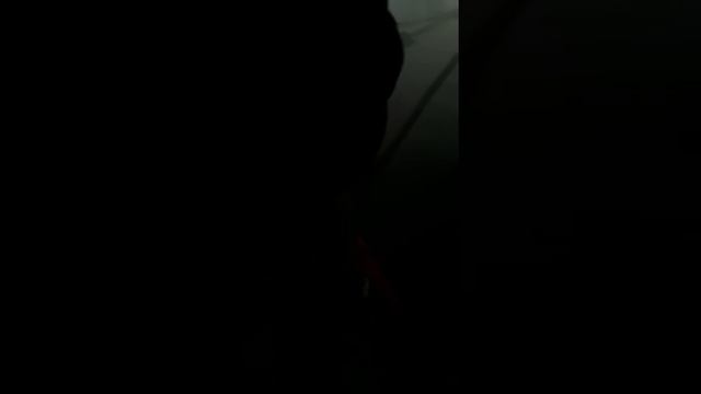 Горит рынок садовод 18.01.2018 смотреть онлайн