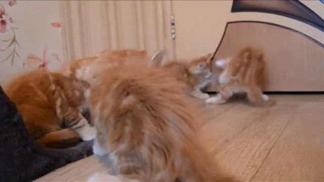Весселая игра! смотреть онлайн