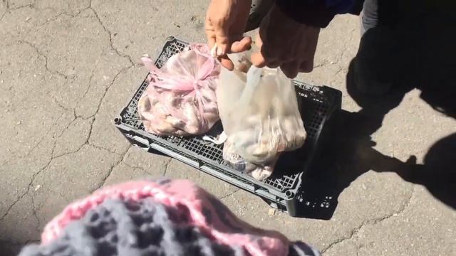 Кто продает бычков на стихийном рынке смотреть онлайн