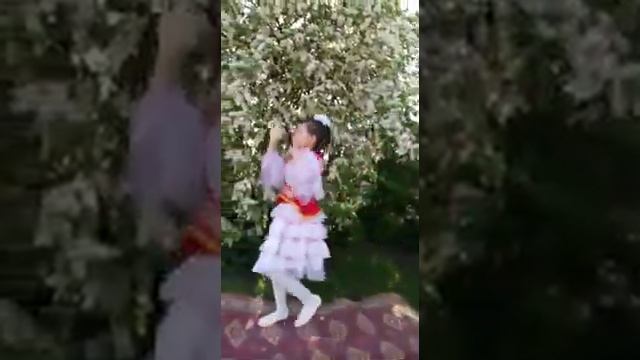 Казахский танец камажай смотреть онлайн