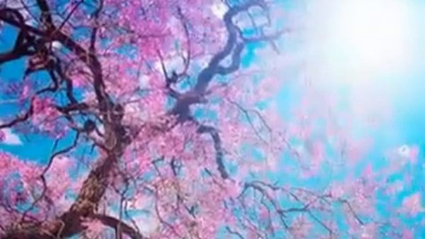 «PADAM PADAM PADAM» - «ПАРАМ, ПАРАМ, ПАРАМ». - Мотив этот вторит душе. Перевод - Е.Г. Кордикова.