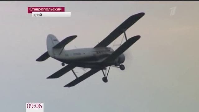 Полчища саранчи обрушились на южные регионы России смотреть онлайн