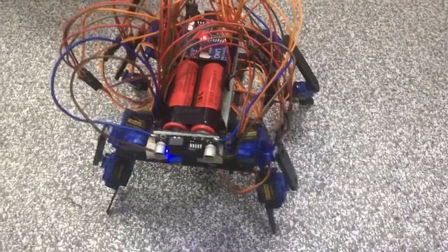 Робокот на Arduino смотреть онлайн