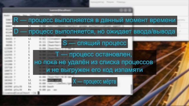 Процессы в среде РЕД ОС смотреть онлайн