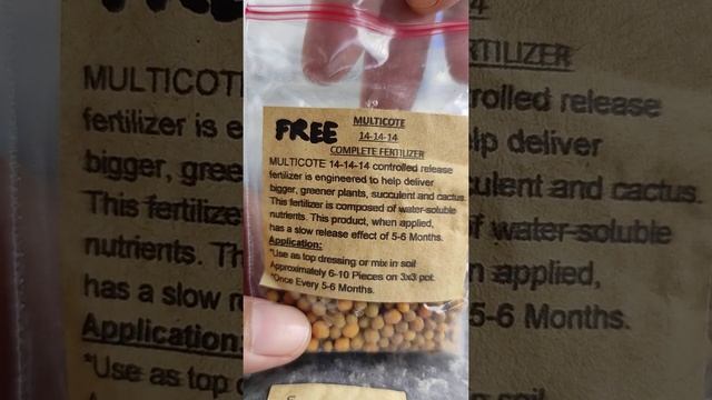 Sedum Burrito ? смотреть онлайн