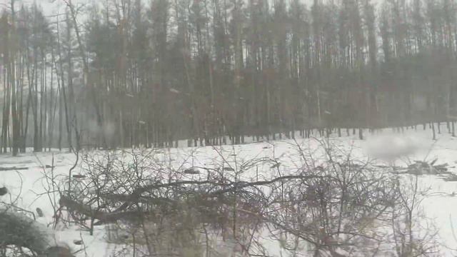 Черный лес. Ч.2. Масштабы не передать. Двуречанщина. Харьковская область. смотреть онлайн