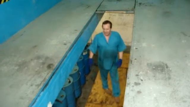 MOV02563.MPG смотреть онлайн