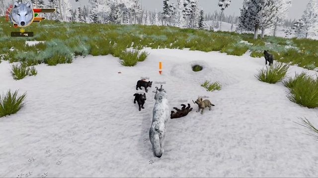 An Ancient BEAR BATTLING Legacy Returns?! ? WOLF QUEST: WILD MEADOW • #22 смотреть онлайн
