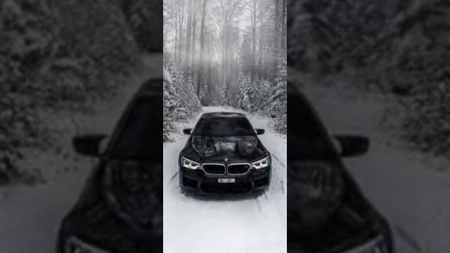 HammAli,Navai -ăi madam смотреть онлайн
