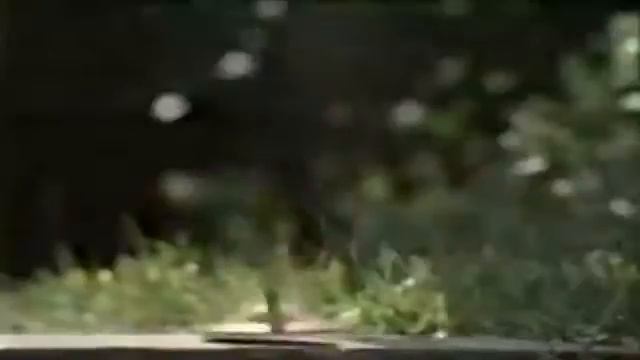 Snailiens commercial смотреть онлайн