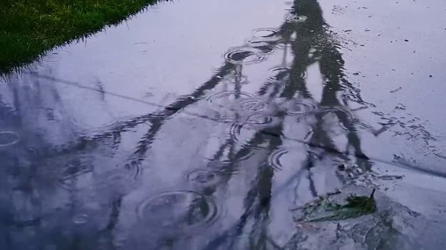 ВСТРЕТИЛ СВОЮ ЗЛУЮ КОПИЮ | Дурная наследственность