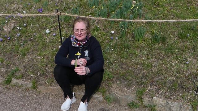 Lökar och knölar смотреть онлайн