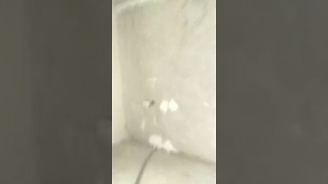 САМАЯ КРАСИВАЯ КВАРТИРА смотреть онлайн