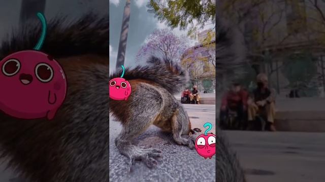 Отвлекись и улыбнись!