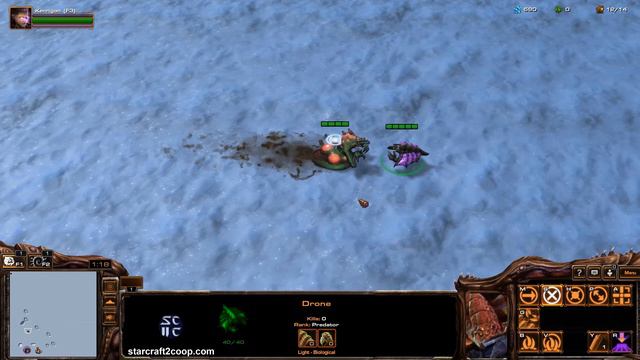 Starcraft 2 Coop Commander Tips - Kerrigan - Dealing with Propagators смотреть онлайн