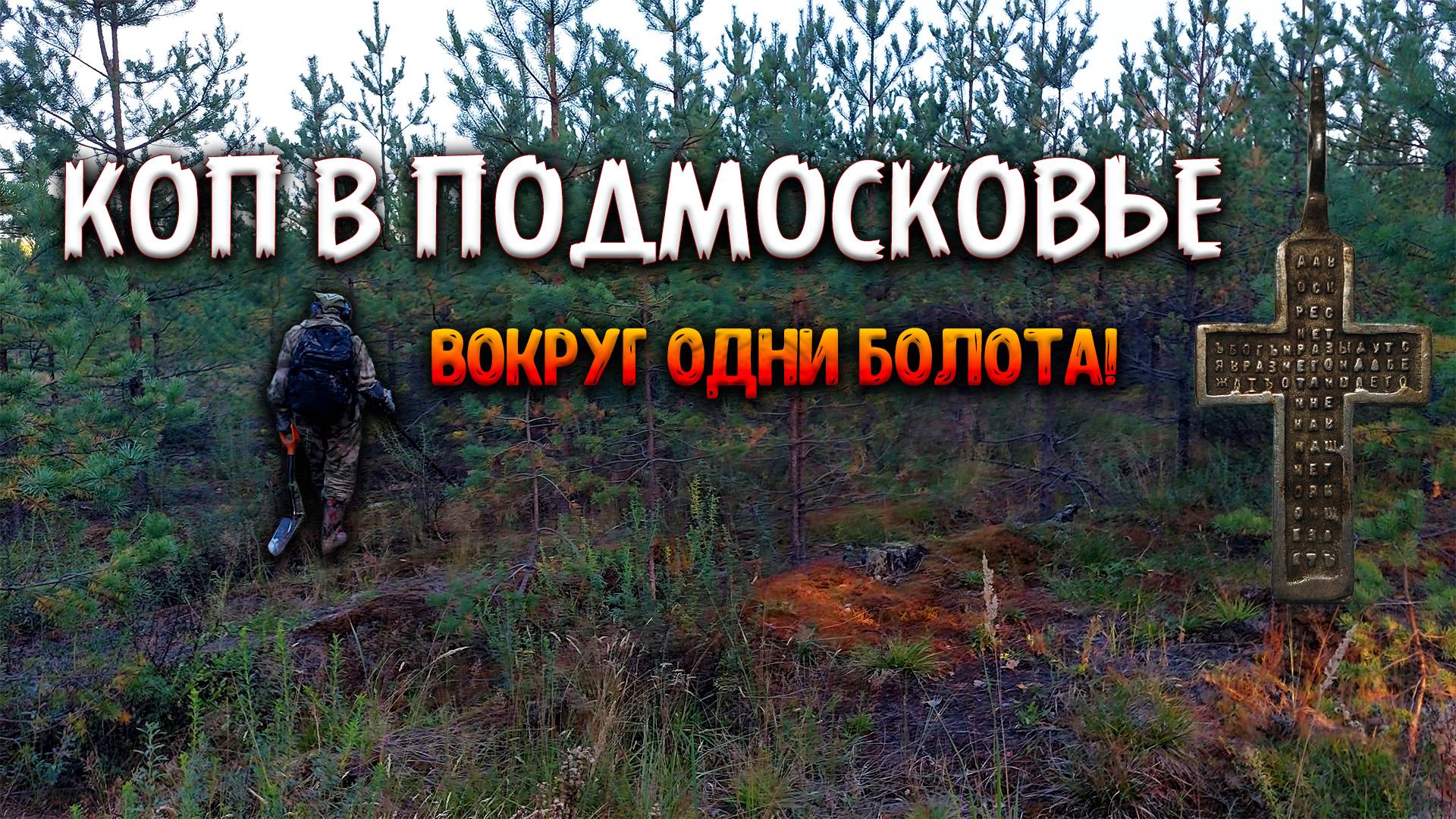 КОП В ПОДМОСКОВЬЕ СЕНТЯБРЬ 2024 ГОД смотреть онлайн