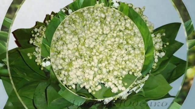 Прекрасные_ландыши ! смотреть онлайн