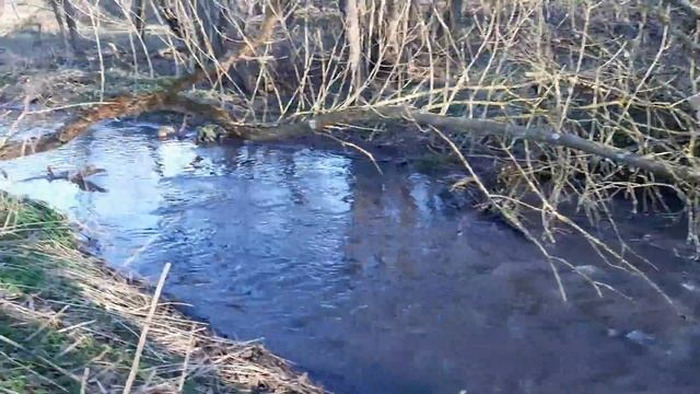 Так в Новогрудском районе очищают воду смотреть онлайн