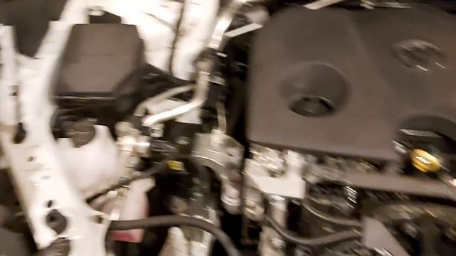 Новый RAV4. Грязь под капот летит, но не все так страшно. Видео от владельца смотреть онлайн