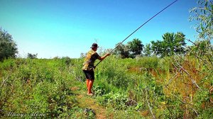 Рыбалка на карася и сома. Поплавочная ловля. Разведка на жмых.