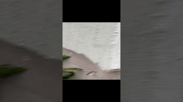 Прораб смотреть онлайн