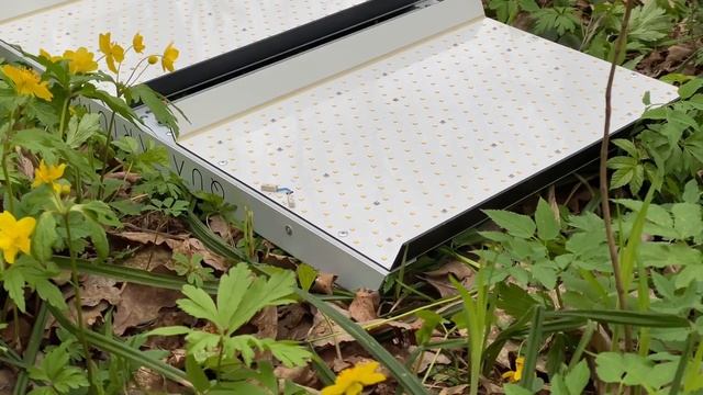 Quasarium LED | Unpacking in nature.. смотреть онлайн