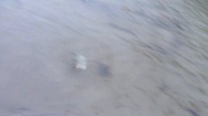 р Ока-Саянская, Рыбалка,Сплав Сентябрь 2016