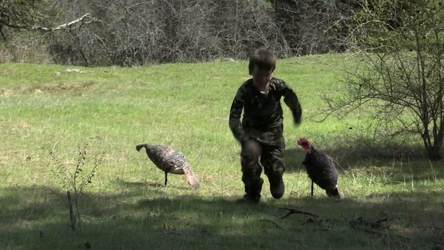 Idaho Mountain Birds - an EPIC Turkey Hunt! смотреть онлайн