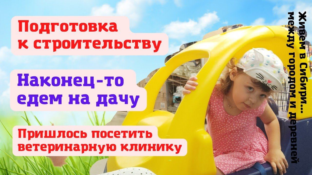 23.06.2022 Подготовка к строительству. Поездка в ветеринарную клинику