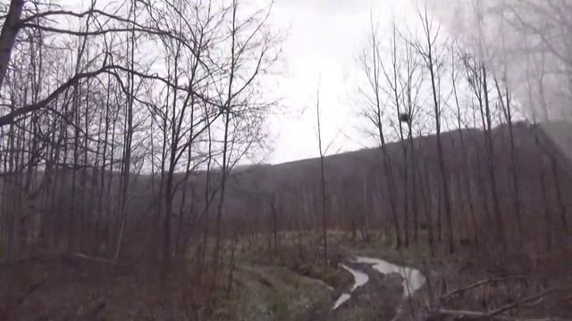 Царские врата