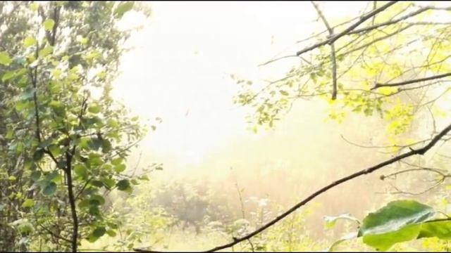 "Там лес и дол видений полны" СКАЗКА ЛУГА. Музыка: Эрнесто Кортазар - Piruette смотреть онлайн