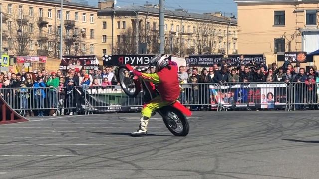 IMIS 2019 смотреть онлайн