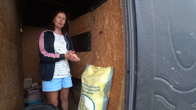 И вновь индюшата. Хайбрид конвертер. Дожди... Краснодарский край. смотреть онлайн