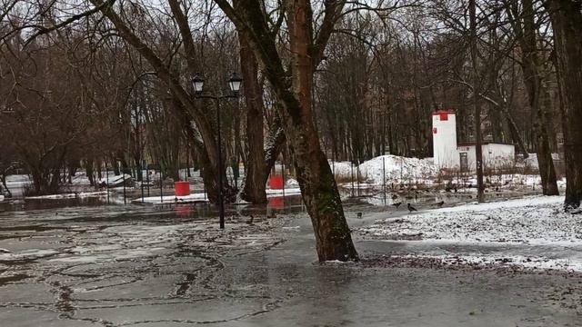 Половодье в Советске. смотреть онлайн