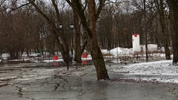 Половодье в Советске.