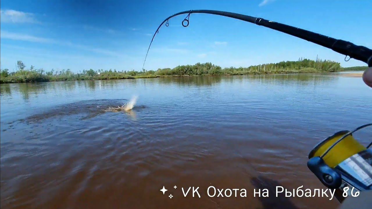 РЫБАЛКА - МЕЧТА / РЫБА НА КАЖДОМ ЗАБРОСЕ #рыбалка #щука #спининг #fishing #pike #pikefishing