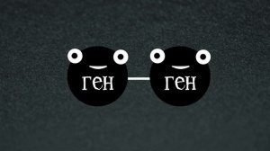 ЛОКУСЫ. Генетика индоуток: часть 2. Разведение и селекция мускусных уток. Окрасы индоуток.