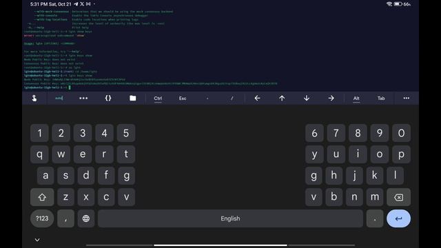 FLEEK NETWORK | FLEEK NODE SETUP | GUIDE IN HINDI | PHASE {1} смотреть онлайн