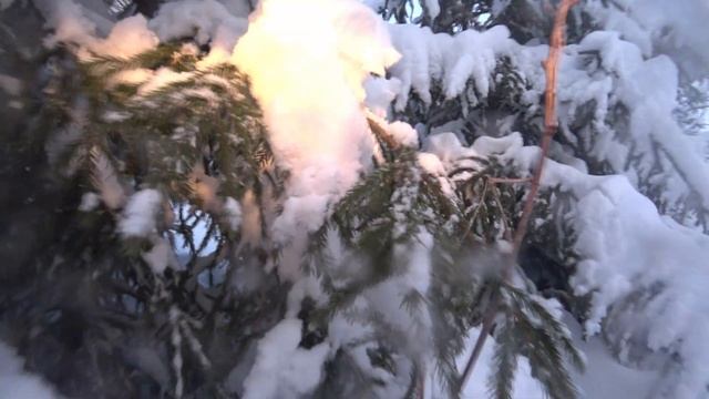 Покатушки на снегоходе тайга варяг 550 (#3) смотреть онлайн