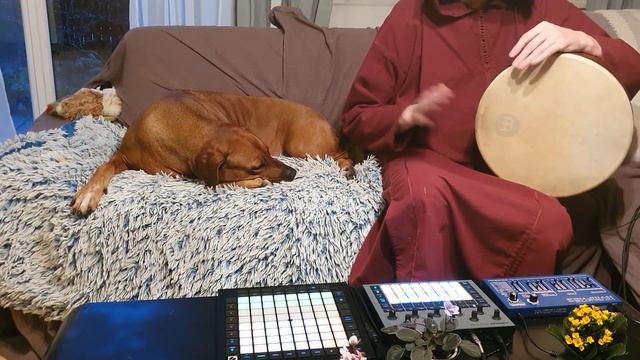 Cantus Firmus - Harmony | Dreadbox Nymphes | Circuit Rhythm смотреть онлайн