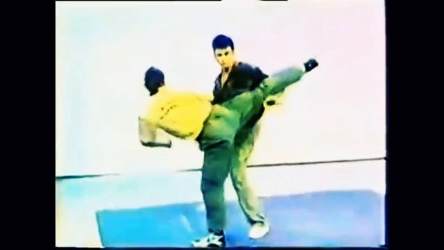 Systema kick defense (slow motion) - Vladimir Vasiliev смотреть онлайн