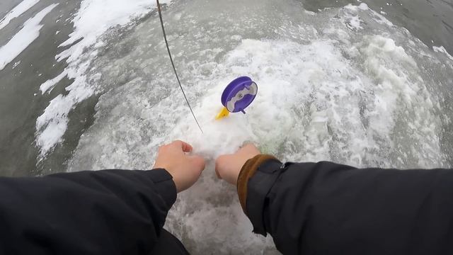 ЦЯ МАМКА НЕ ЛІЗЕ В ЛУНКУ! Трофейна щука на ЖЕРЛИЦІ! Ловля щуки на жерлиці зимою 2023! Жерлиці 2023!