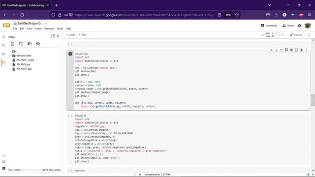 PROJECT UAS OLAH CITRA DIGITAL IMAGE PROCESSING DENGAN GOOGLE COLAB PYTHON смотреть онлайн